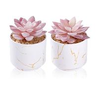 ZENIDA Artificial Plants and Succulents in 2 White Ceramic Pots,Small Fake Plants for Office and Desk Decor,Bathroom, Bedroom,Shelves for Women