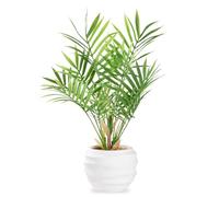 ZENIDA Artificial Plants, Areca Artificial Palm Tree, Tropical Hawaiian Green Fake Plant for Bedrooms, Offices, Gardens, Weddings, Parties, Desk, 40cm Tall