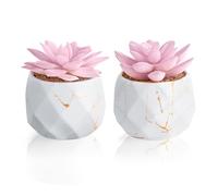 ZENIDA Set of 2 Artificial Succulents Plants in White Ceramic Pots, Mini Potted Plants, Small Decorative Fake Plants for Home, Office, Desk, Bathroom, Bedroom and Shelves Decor