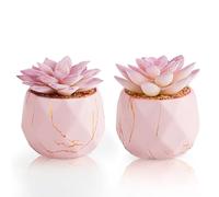 ZENIDA Set of 2 Artificial Succulents Plants in White Ceramic Pots, Mini Potted Plants, Small Decorative Fake Plants for Home, Office, Desk, Bathroom, Bedroom and Shelves Decor