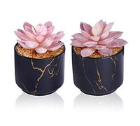 ZENIDA Succulent Artificial Plants,Cute Fake Succulents in 2 Black Ceramic Pots,Small Fake Plants for Office,Table,Desk,Bathroom, Bedroom,Aesthetic Room Shelves Decor,Desk Decorations for Women