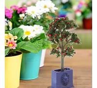 ZenithAur 3PCS Miniature Dollhouse Plants with Layered Leaves for 1:12 Scale Dollhouse Decoration Adds Warm Ambience Outlast Resin Artificial Fruit Tree Model