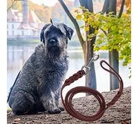 ZenithAur Leather Dog Leash, Safety Belt Sized 1.6m x 1.2cm for Small and Medium Dogs' Walking and Training Activities (The material length is 2 meters and the net length)