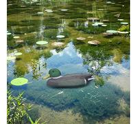 ZenithAur Realistic Floating Duck for Water Features/A versatile Outdoor Duck Decoration for landscaping projects/This Lifelike Duck Ornament floats in pools or ponds (Mandarin duck man)