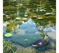 ZenithAur Realistic Floating Duck for Water Features/A versatile Outdoor Duck Decoration for landscaping projects/This Lifelike Duck Ornament floats in pools or ponds (Mother of mandarin duck)
