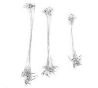 ZenithAur Stainless Steel Fishing Leaders in 6/8 / 10 Inch Sizes, 60 Piece Fishing Line with Swivels Snaps, Heavy Duty Rigs for Saltwater Fishing Leader Rigs,