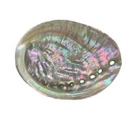 ZenithQuest 1 Pc Natural Abalone Shell Bowl, 4-4.5 Inch Iridescent Smudge Bowl for Sage Burning & Incense, Decorative Sea Shell Incense Holder for Home Decor & Display