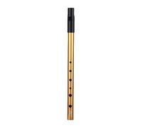 ZenithQuest Irish Tin Whistle in Key of D, 6-Hole Aluminium Penny Whistle with Gold Finish, Traditional Wind Instrument for Beginners to Advanced Players, Practice & Live Performance