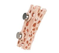 Zenlir Innovative Ventilated Spiders Nest Featuring Climbing Tunnel for Jumping Spiders Exploration and Observation Innovative Pet House