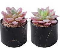 ZENMAG Mini Succulents Plants Artificial, Fake Succulents in Black Ceramic Pots for Desk Livingroom Bathroom and Home Decoration Office Decor for Women Set of 2 Artificial Succulents