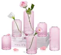ZENS Bud Vases Set of 6, Pink Clear Small Glass Vase for Flowers. Modern Hand Blown Cylinder Glass Vase for Wedding Reception Centerpieces Living Room Decorative.