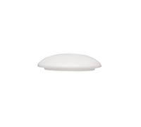 ZENS Modern Japanese Tea Set, white lid