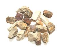 Zentron Crystal Collection: 1/2 Pound Rough Natural Petrified Wood Stones