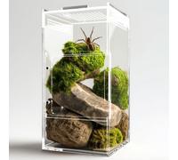 ZENWUKONG Jumping Spider Enclosure - Acrylic Terrarium Habitat for Spiders, Tarantulas, Snail, Mantis, Lizard, and Small Reptiles, Magnetic Doors (3x3x6 inch)