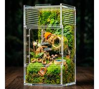 ZENWUKONG Jumping Spider Enclosure - Acrylic Terrarium Habitat for Spiders, Tarantulas, Snail, Mantis, Lizard, and Small Reptiles, Magnetic Doors (3x3x6 inch)