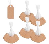ZEONHAK 1000 Pieces Kraft Paper Gift Tags, Brown Blank Tag with String for Product Clothing Price, 2.5 x 1.5cm