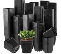 ZEONHAK 400 PCS 5.5cm Black Square Plant Pots, Small Square Flower Pot for Indoor Outdoor