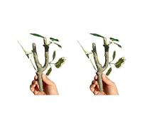 ZEPFJHE 2pcs Artificial Vine for Lizards and Snakes Providing Secure Climbing and Easy Installation Terrariums Decors Realistic Rainforest Climbing Branch for Reptiles Terrariums