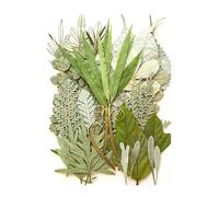 ZEPFJHE 35Pcs Pressed Dried Leaves For Epoxy Resin Natural Dry Leaves Plant For Art Craft Scrapbooking Jewelry Making Epoxy Resin Molds Decorations