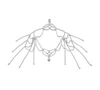 ZEPFJHE Alloy Body Chain With Sparkling Fringe Detailing Versatile Shoulder Accessory Lightweight Fringe Necklace