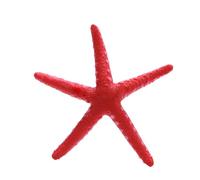 ZEPFJHE Artificial Silicones Starfishes Ornament For Aquariums Environment With Realistic Glowing Effect Home Fish Tanks Decors Luminously Starfishes