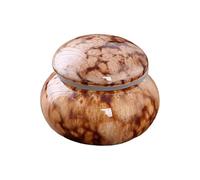 ZEPFJHE Ceramic Pet Urn Ashes Holder with Classical Design Memorial Urn Perfect for Honoring Shelf Display Use Pet