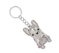 ZEPFJHE Clear Dog Furs Storage Box Hair Collector Waterproof Keepsakes Keychain For Pet Owners To Preserve Preciously Memory Dog Furs Keepsakes Keychain