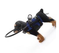 ZEPFJHE Easy to Wear Collisions Proof Circlet Protective Leash for Visually Impaired Pet Adjustable Breathable Polyester Design Outdoor Pet Assist