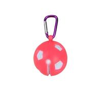 ZEPFJHE Golfs Ball Holder Clip Organizers Protective Bag Single Ball Storage Protections Carriers With Hook Golfs Training Tool With Aluminum Hook
