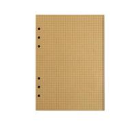 ZEPFJHE Horizontal Line Paper A 5 Grids Refill Paper 80 Sheets 6 Holes Replacement Sheets for Notebook Sketch Painting