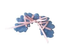 ZEPFJHE Versatile Acrylic Hair Claw Ballet Ribbon Tie Bowknot Acetate Claw Clips Stylish Headwear Hair Accessory for Women