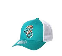 Zephyr Men's Adjustable Snapback Hat Big Rig
