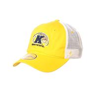 Zephyr Men's NCAA Officially Licensed Adjustable Hat University