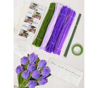 ZephyrCraft 256 Pcs Pipe Cleaners Set, Extra Long Chenille Wires in 4 Colors, Pipe Cleaner Flowers Kit for Crafting & Decorating, DIY Craft Decor, Florist Bedar Project Supplies