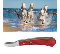 ZephyVita Hoof Knife,Farrier Tools,Hoof Knife for Horses,Hoof Knife Chisel Tool Steel Curved Hoof Trimmer with Wooden Handle for Farrier Horses