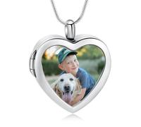 zeqingjw Glass Cremation Jewelry - Heart Memorial Ern Necklace for Ashes of Loved One - Stainless Steel Human Pet Dog Cat Keepsake Urn Pendant, Stainless Steel, No Gemstone
