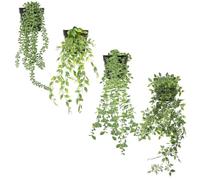 Zequech 4 Pots of Simulated Green Hanging Potted Plants, Datura, Eucalyptus, Pea, Pearl Chlorophytum Comosum, Indoor and Outdoor Terrace Office Outdoor Wedding Decoration, Artificial Landscape