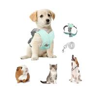 Zequech Light Green Traction Rope, For Small And Medium-Sized Dogs, Adjustable Shoulder Strap, Breathable Soft Mesh Pad, Night Reflection, Buckle To Prevent Burst, Outdoor Walking Training S M L (S)