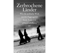 Zerbrochene Länder: Wie die arabische Welt aus den Fugen geriet