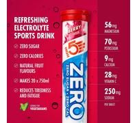ZERO Electrolyte Hydration Tablet Berry 8 Tubes 160 Tabs Fast Rehydration