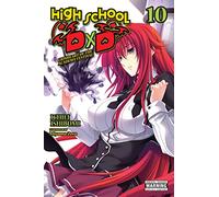 Zero Miyama - High School DxD, Vol. 10 (light novel): Lionheart of the Academy Festival Volume 10 (HIGH SCHOOL DXD LIGHT NOVEL SC)
