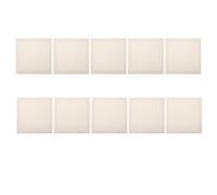 Zerodeko 10 Sheets 33X33Cm Thick Half-Ripe Xuan Paper Calligraphy Practicing Paper Mirror Surface for Chinese Painting and Sumi Ink Drawing