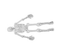 Zerodeko 1Bag DIY Human Skeleton Model Science Kit for Education Hands Skeleton Learning for Classroom and Home Use Enhance Understanding of Human Anatomy and Skeletal System