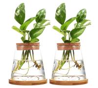Zerodeko 2 Pcs 330ml Glass Water Planter Indoor Hydroponic Vase with Wooden Lid and Bamboo Stand, High Transparency Tapered Terrarium Jars for Plants and Goldfish, for Tables