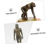 Zerodeko 5pcs Primitive People Model Educational for Dark Gold Human Evolution Figurines Creative Learning Play Figures for Early Cognition and Imaginative Development