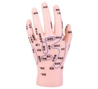 Zerodeko Acupuncture Hand Display Model for Tcm Education and Reflexology Training, Pvc Material with Realistic Simulation, Easy to Clean and Versatile Design, for Massage Parlours