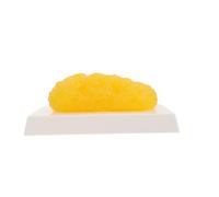 Zerodeko Anatomical Fat Model Realistic Human Body Simulation for Diet Motivation and Education Demonstration Device for Anatomy and Fitness Training