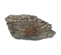 Zerodeko Artificial Resin Trilobite Specimen for Reptile Tank Specimen Decoration, Prehistoric Insect Fossilised Stone with Realistic Brown Resin Material, for Vivarium Decor and Classroom