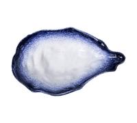 Zerodeko Irregular Oyster Shell Shaped Dessert Serving Tray Porcelain Household Fruits Plate Multi-Functional Use Easy to Clean Snack Serving Plates for Home and Dining Room Food Display