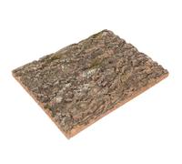 Zerodeko Leopard Gecko Accessories Including Natural Cork Bark Terrarium Decor with Simulated Habitat Features, Safe for Reptiles, for Decorating Reptile Tanks and Plant Background Walls,